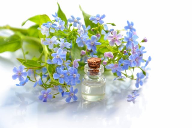 Best and Most Affordable Male-to-Male Full-Body Massage Aromatherapy Massage